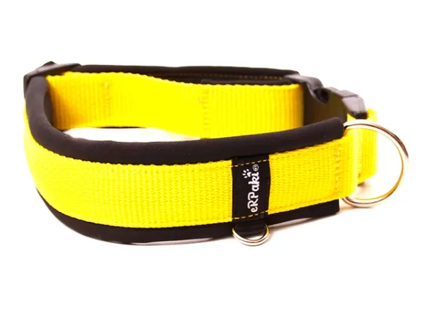 eRPaki PRO Hundehalsband Klick 25mm