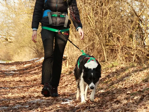 Wandern mit Hund mit eRPaki Laufgürtel mit Beinschlaufen