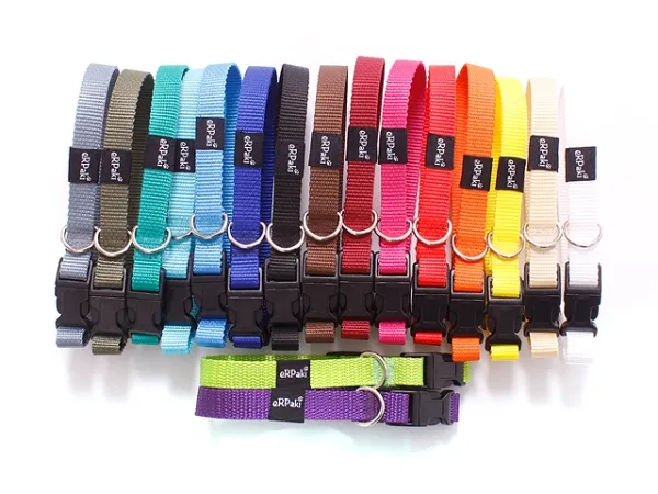 eRPaki BASIC Hundehalsband Klick 15mm