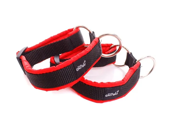 Sport Hundehalsbänder ohne Zugstopp und Verschluss für kleine Hunde in Farbe schwarz rot