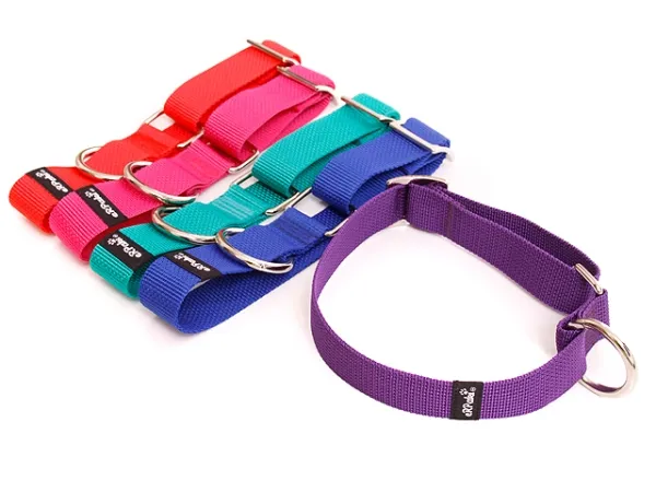 eRPaki Hundehalsband geschlossen 30mm OP