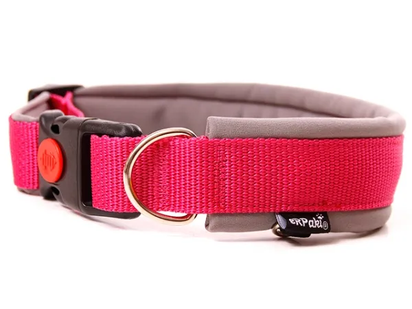 eRPaki PRO Hundehalsband Klick 25mm
