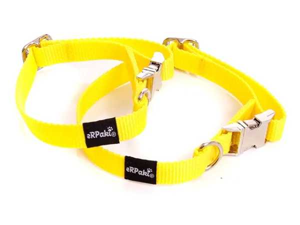 eRPaki BASIC Hundehalsband Klick 15mm
