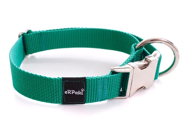eRPaki BASIC Hundehalsband Langhaar 20mm grün