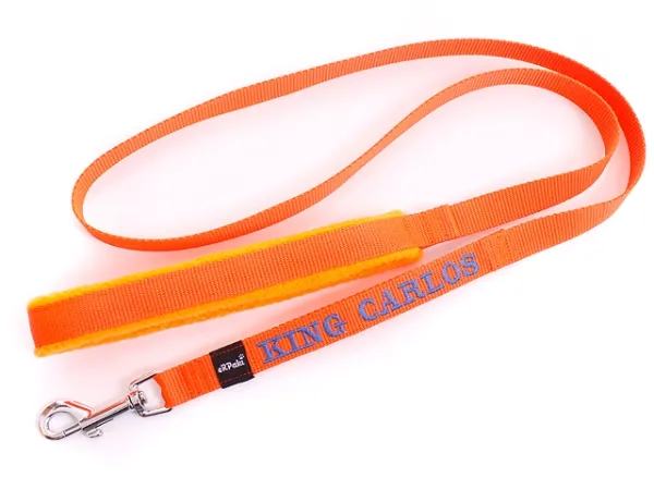 eRPaki Hundeleine mit Namensbestickung 15mm MP