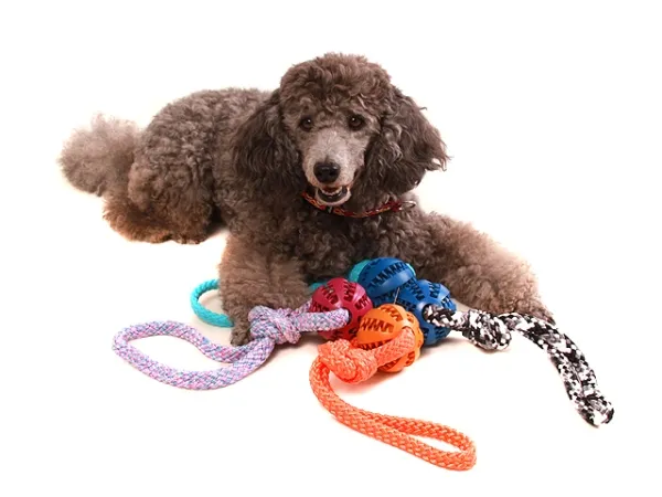 eRPaki ROPE Vollgummi Ball Dental Gr. L