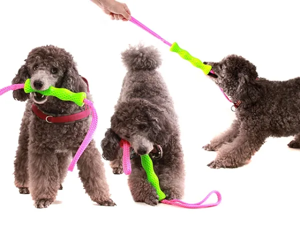 eRPaki ROPE TPR Stick "Wave" zwei Griffe