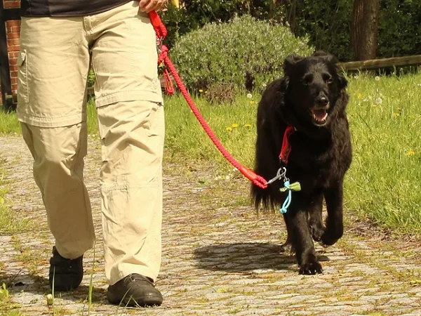 eRPaki Kotbeutelhalter - helltürkis eRPaki Kotbeutelhalter - helltürkis