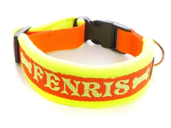 eRPaki CLASSIC Namenshalsband Klick 25mm
