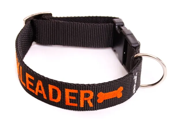 eRPaki BASIC Namenshalsband Klick 30mm eRPaki BASIC Namenshalsband Klick 30mm