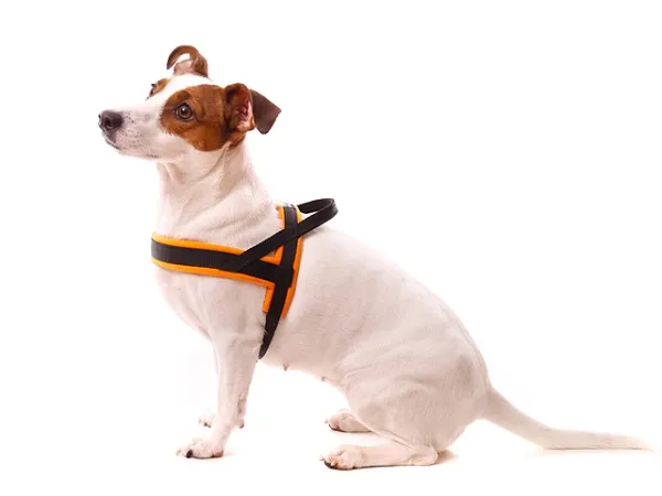 eRPaki PRO Norwegergeschirr 15/20