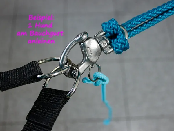 eRPaki ROPE Panikhaken Canicross eRPaki ROPE Panikhaken Canicross