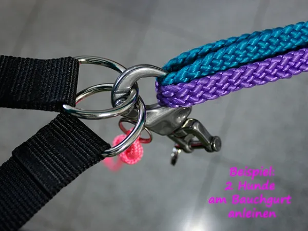 eRPaki ROPE Panikhaken Canicross eRPaki ROPE Panikhaken Canicross