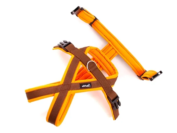 eRPaki PRO Flyball-Geschirr Double-Klick 20mm