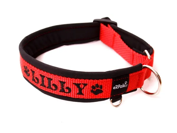 eRPaki PRO Namenshalsband geschlossen 20mm