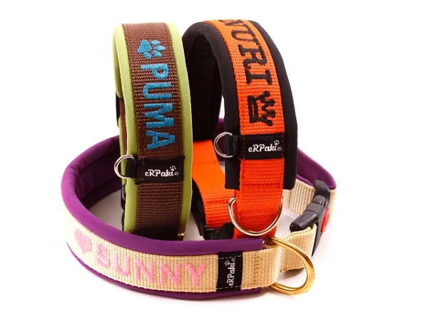 eRPaki PRO Namenshalsband Klick 25mm