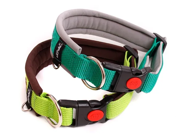 eRPaki PRO Hundehalsband Klick 25mm