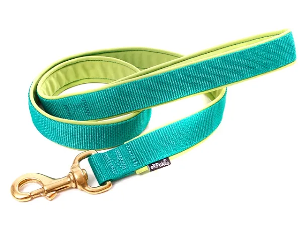 Hundeleine Cityleine gepolstert mit Softshell