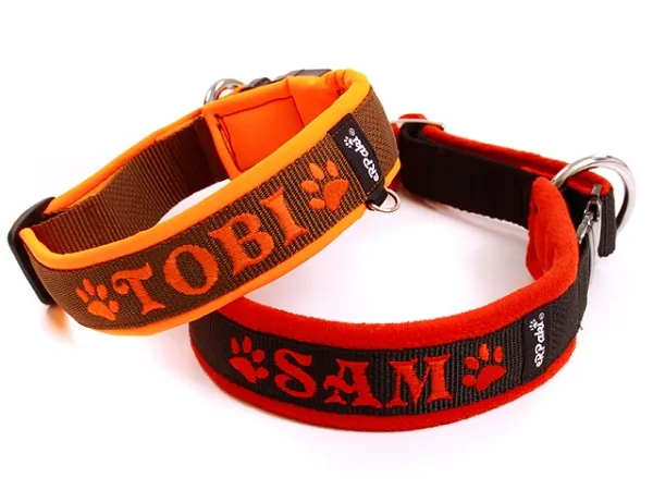 eRPaki PRO Namenshalsband Langhaar 30mm eRPaki PRO Namenshalsband Langhaar 30mm