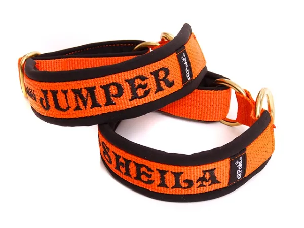 eRPaki PRO Namenshalsband geschlossen 25mm