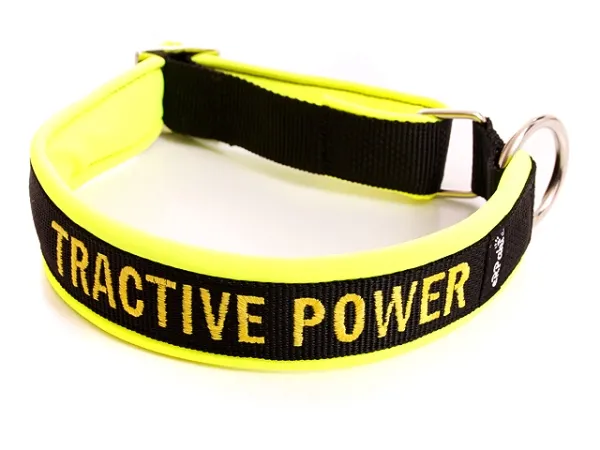 eRPaki PRO Namenshalsband geschlossen 25mm