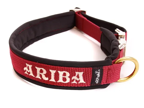 eRPaki PRO Namenshalsband Klick 25mm