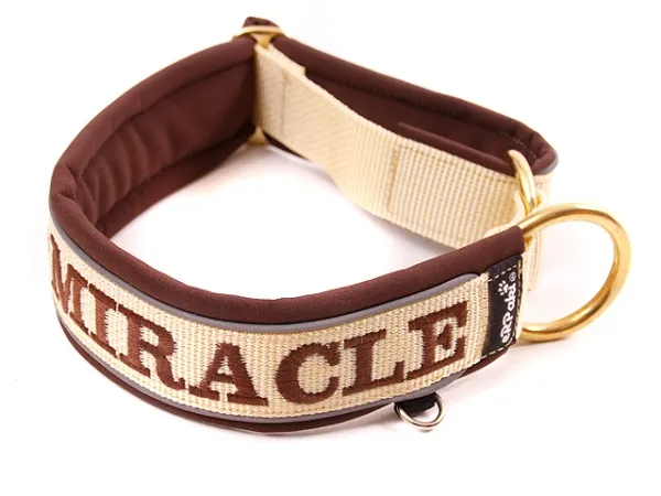 eRPaki PRO Namenshalsband geschlossen 30mm - Reflektor