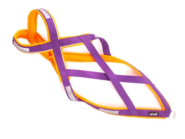 eRPaki Zuggeschirr PRO MAXI 30 - Reflektor