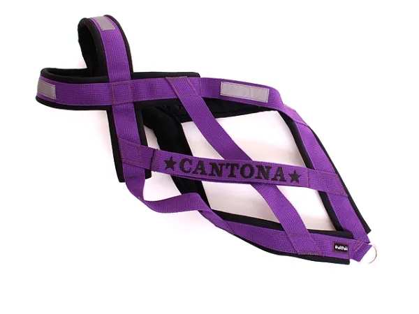 eRPaki Zuggeschirr PRO MAXI 30 bestickt