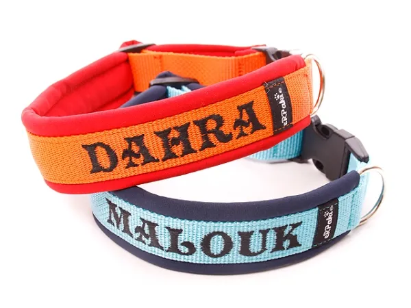 eRPaki PRO Namenshalsband Klick 25mm