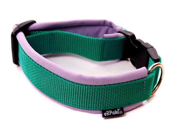 eRPaki PRO Hundehalsband Klick 25mm