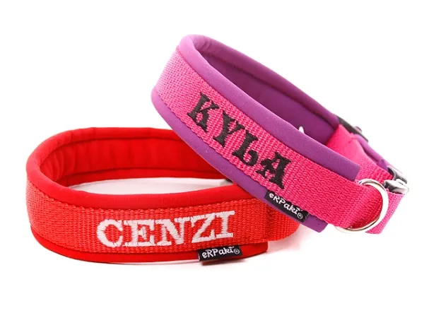 eRPaki PRO Namenshalsband Klick 25mm