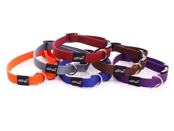 eRPaki BASIC Hundehalsband Klick 15mm