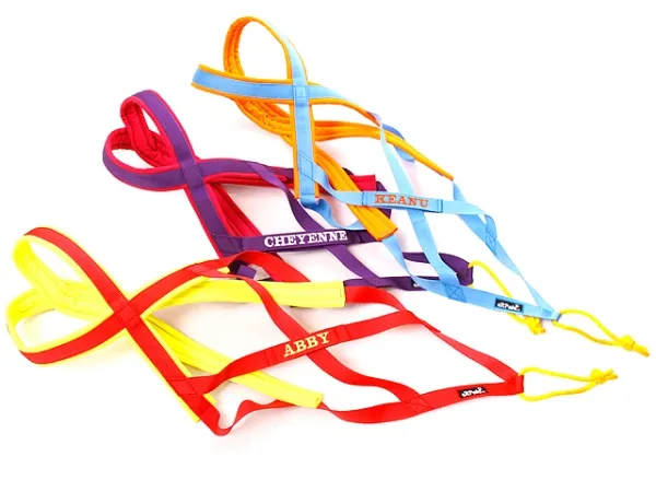 eRPaki Zuggeschirr PRO MEDIUM 25 bestickt eRPaki Zuggeschirr PRO MEDIUM 25 bestickt