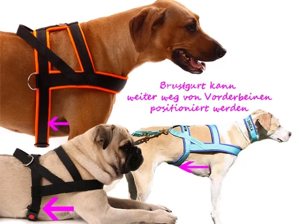 eRPaki PRO Norwegergeschirr mit Nackengurt 20/20/15