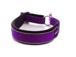 Hundehalsband Zugstopp reflektierend lila schwarz