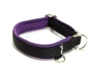 Sport Hundehalsband ohne Zugstopp und Verschluss für kleine Hunde in Farbe schwarz lila und kleinem Ring für Hundemarke