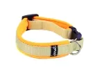 Hundehalsband beige mit Klickverschluss gepolstert mit Softshell hellorange