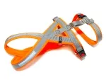 eRPaki PRO Tourengeschirr mit Sicherheitsgurt 20mm