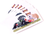 eRPaki Print-Geschenkgutschein 100 EUR