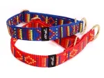 eRPaki Hundehalsband Zugstop 25mm OP