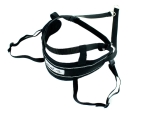 Sicheres Zwei-Ring-System am eRPaki Hüftgurt für maximale Belastung im Zughundesport.