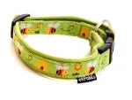 Hundehalsband Langhaar mit Borte Biene lindgrün