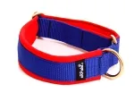 Sport Hundehalsband ohne Zugstopp und Verschluss mit Messing Ringen in Farbe königsblau und rot