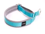 Hundehalsband Zugstopp türkis grau