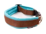 reflektierendes Hundehalsband mit Verschluss braun türkis