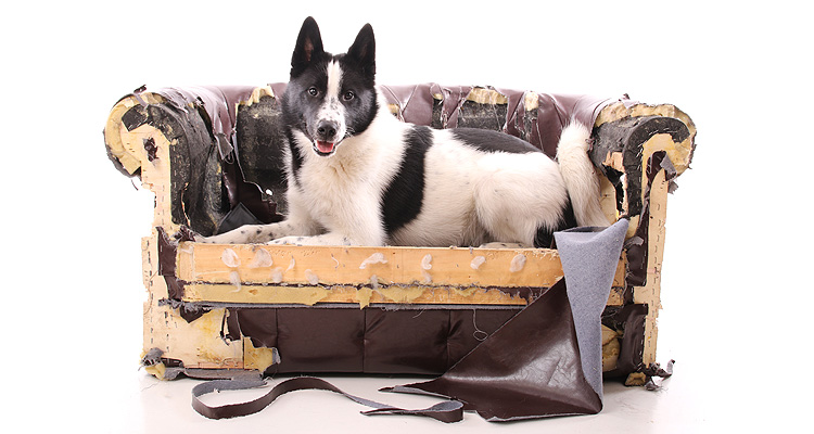 Reparaturen und Änderungen